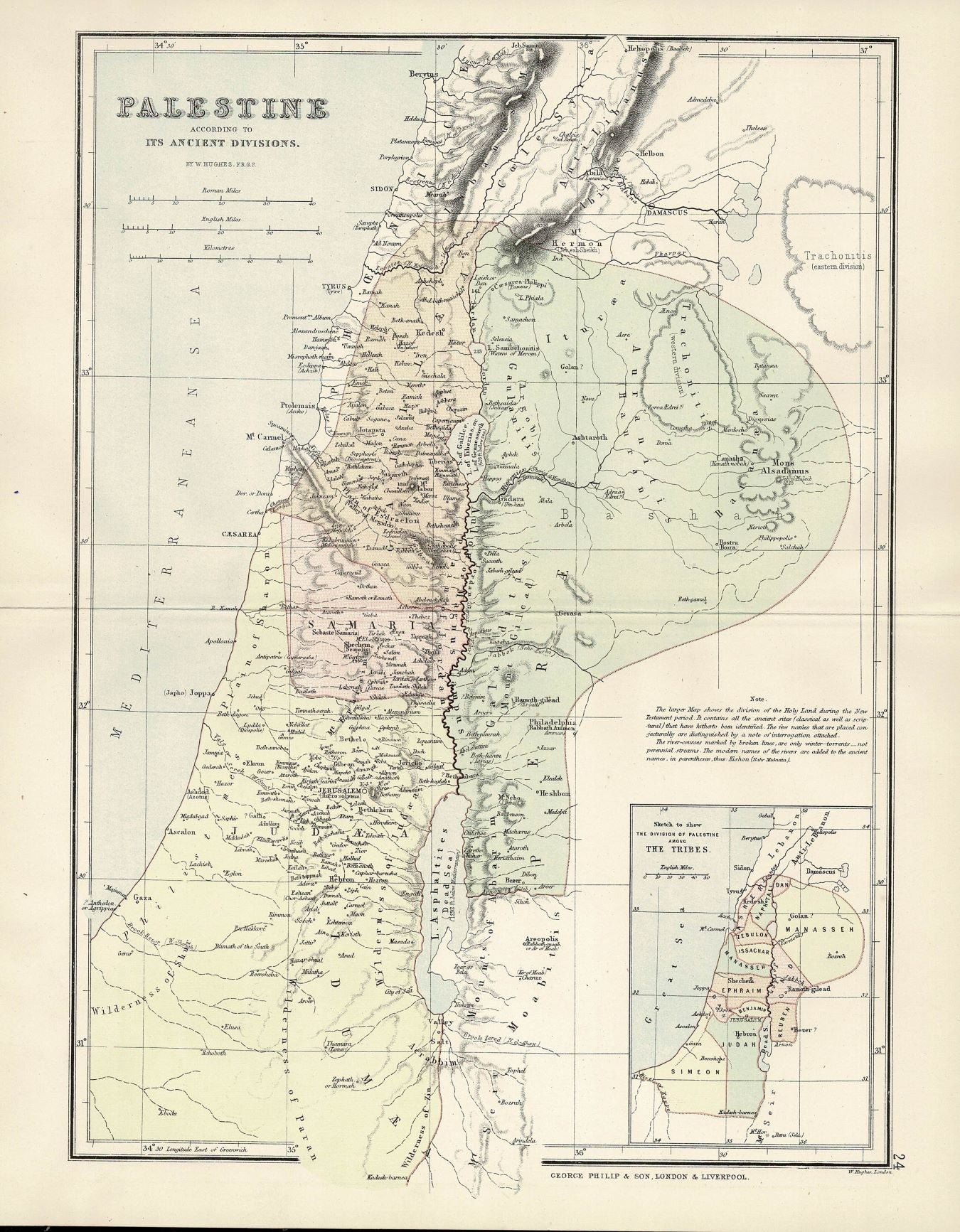 Palestine, Antique Map, 1886