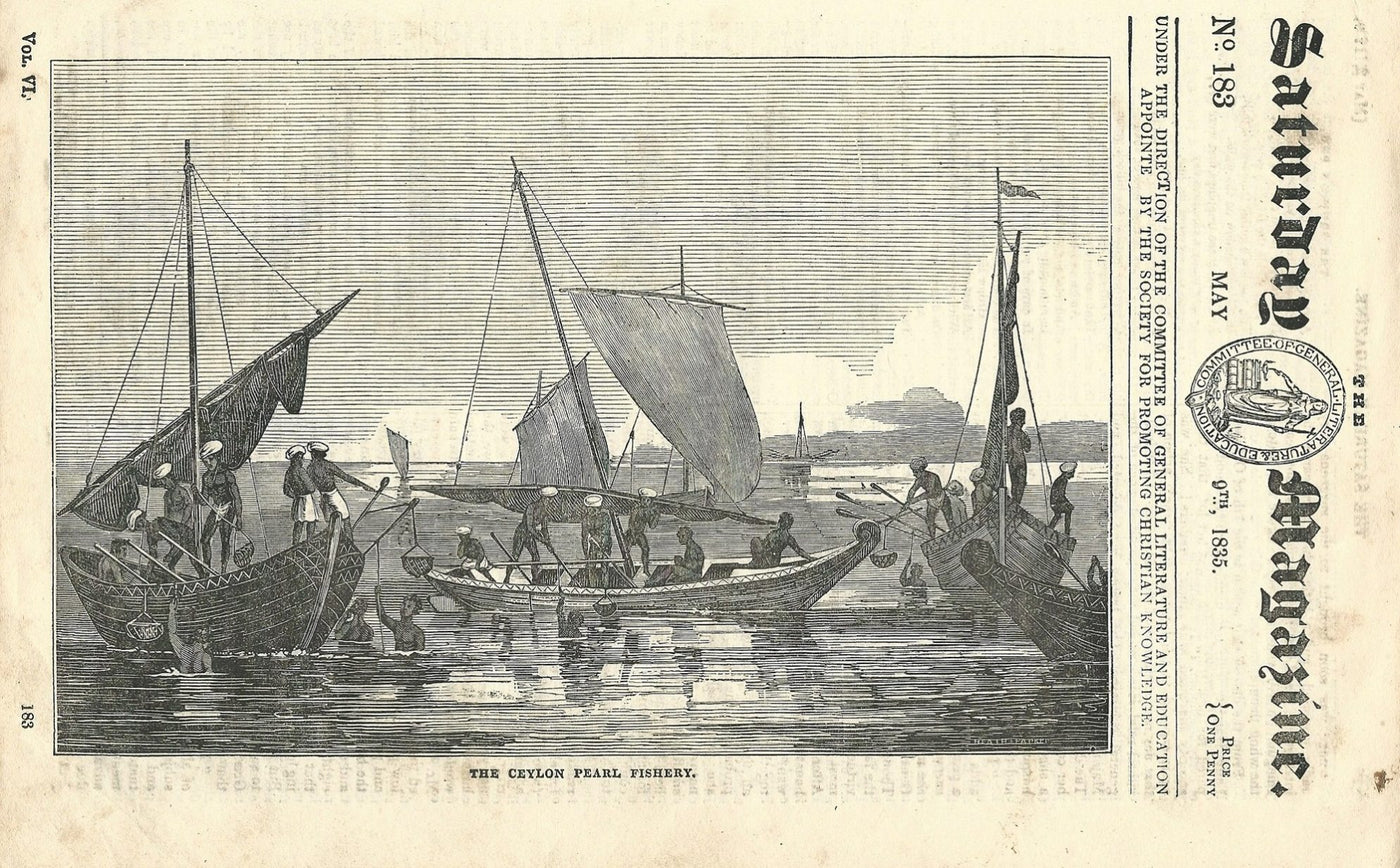 Ceylon Sri Lanka Pearl Fishing antique print