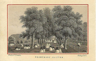 Clifton Promenade Bristol Gloucestershire antique print 1888