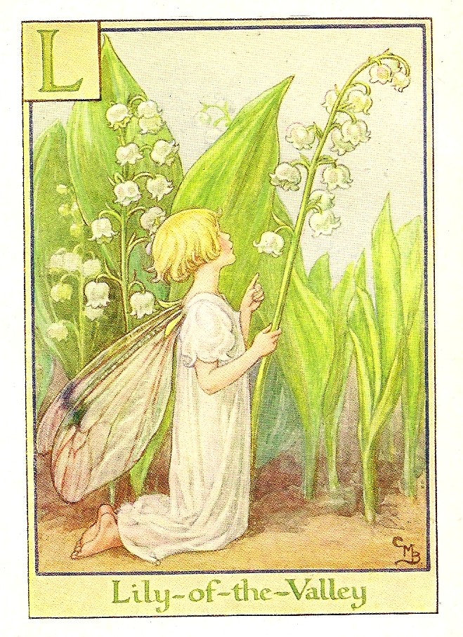 lily flower fairy Lily-of-the-Valley Flower Fairy vintage print – Maps and Antique Prints