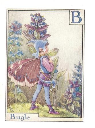Bugle flower fairy guaranteed original vintage print