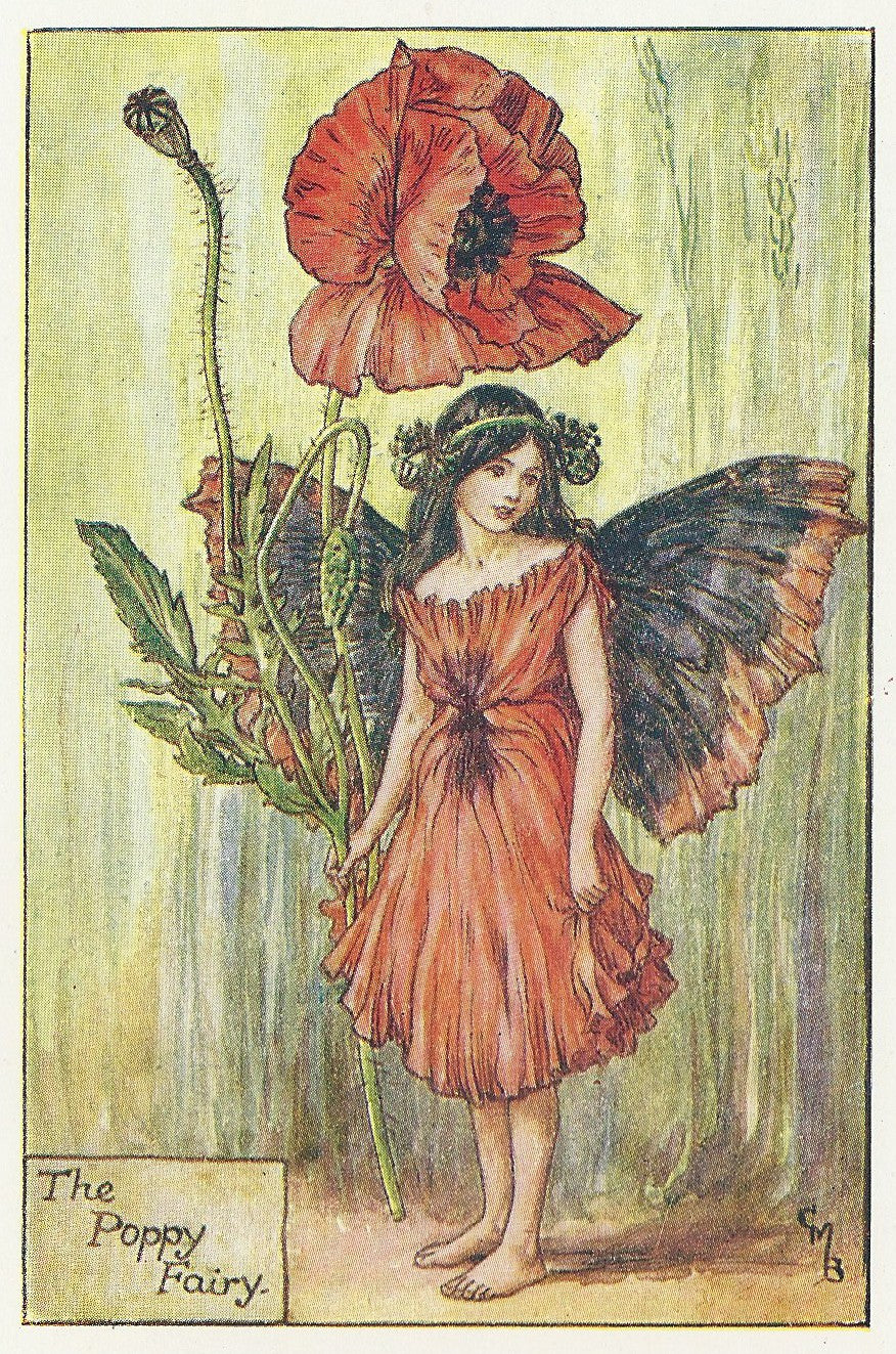 Poppy Fairy old original vintage print for sale