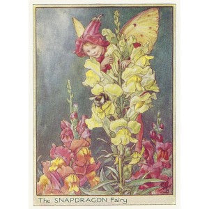 Snapdragon Flower Fairy with a Bumble Bee vintage print