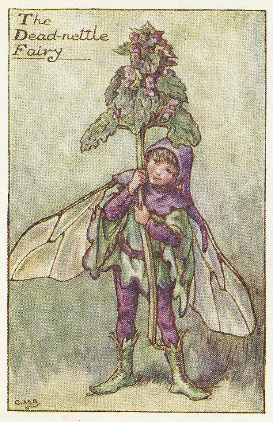 Flower Fairies Dead-Nettle Fairy original vintage print