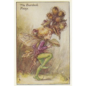 Burdock Flower Fairy guaranteed original vintage print