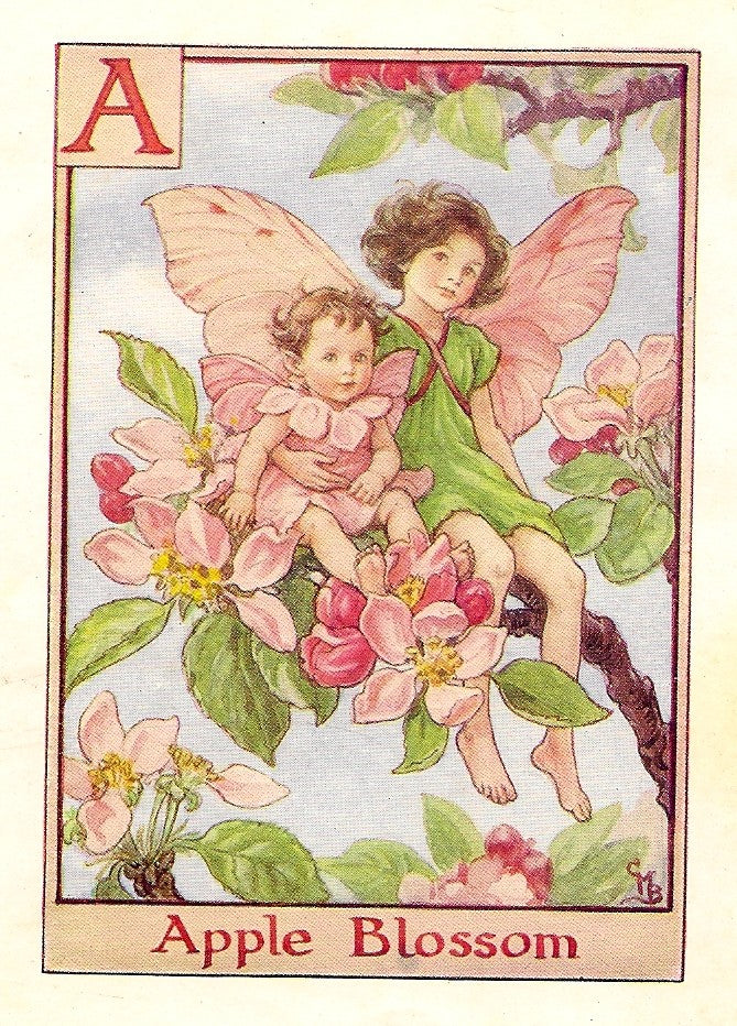 Alphabet Fairies