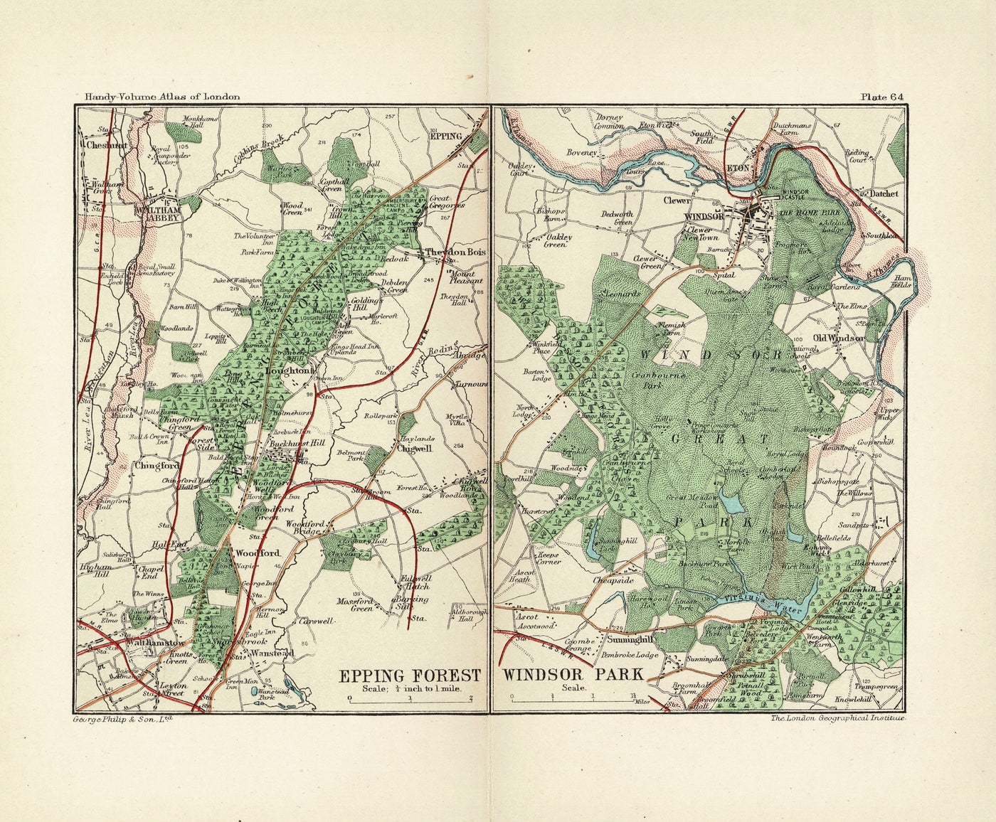 Epping Forest and Windsor Park antique map 1907