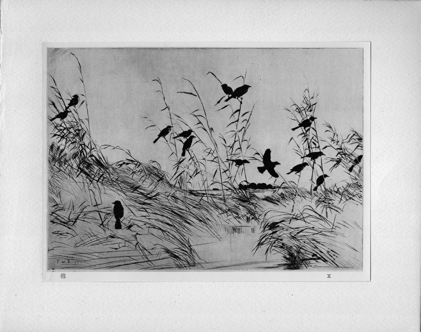 Frank W. Benson 'Blackbirds and Rushes' The Studio "...Masters of Etching" antique print 1925
