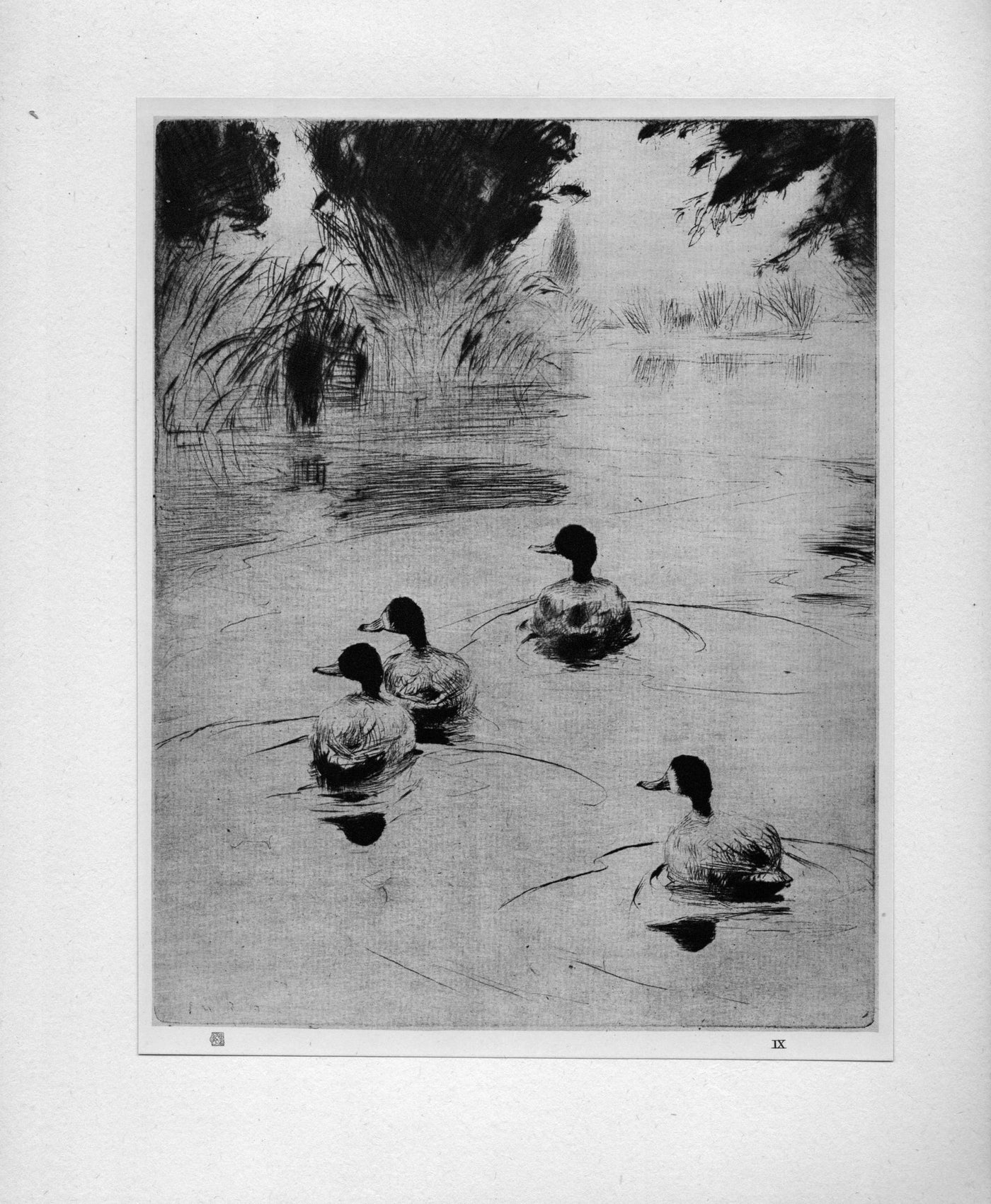 Frank W. Benson 'Broadbills' from The Studio "...Masters of Etching" antique print 1925