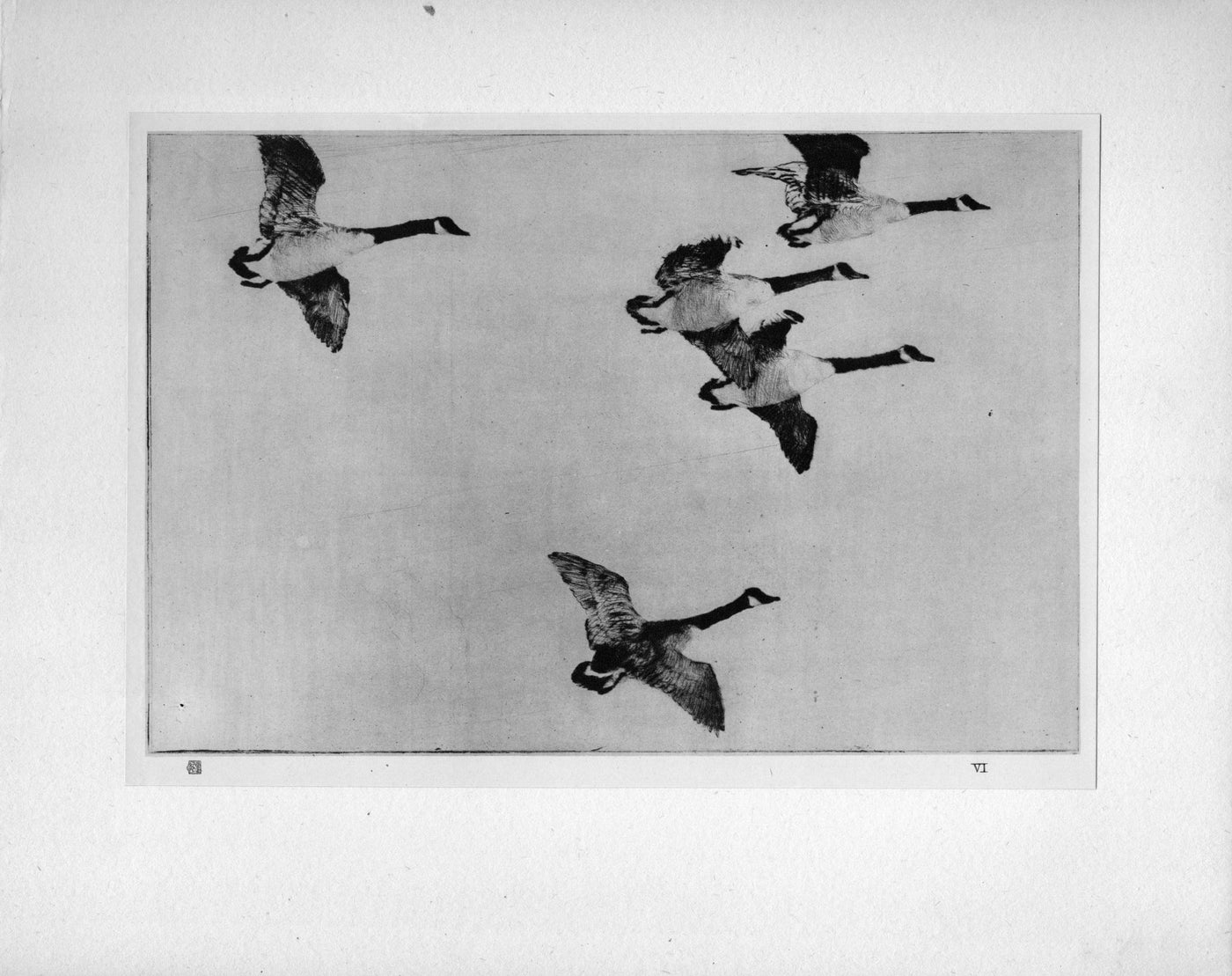 Frank W. Benson 'Geese 1917' from The Studio "...Masters of Etching" antique print 1925