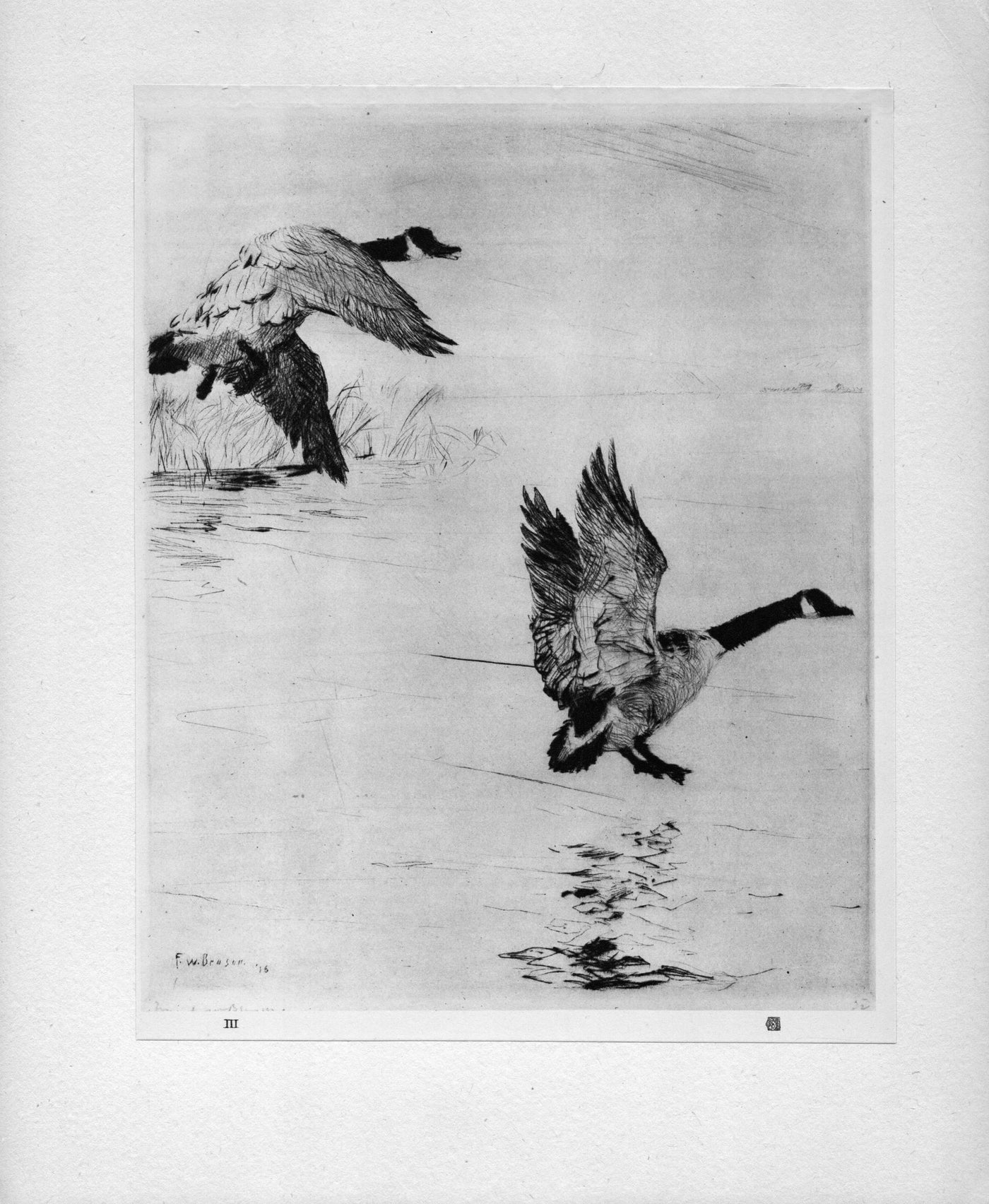 Frank W. Benson 'Geese Alighting' from The Studio "Masters of Etching " published 1925.