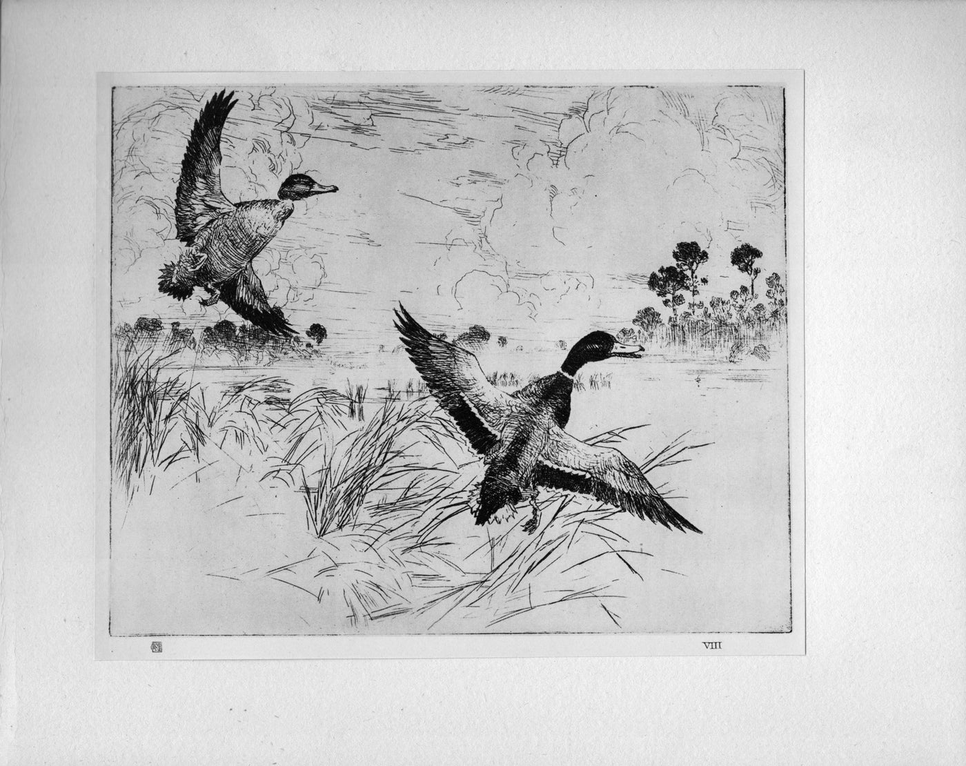 Frank W. Benson 'Mallards' from The Studio "...Masters of Etching" antique print 1925