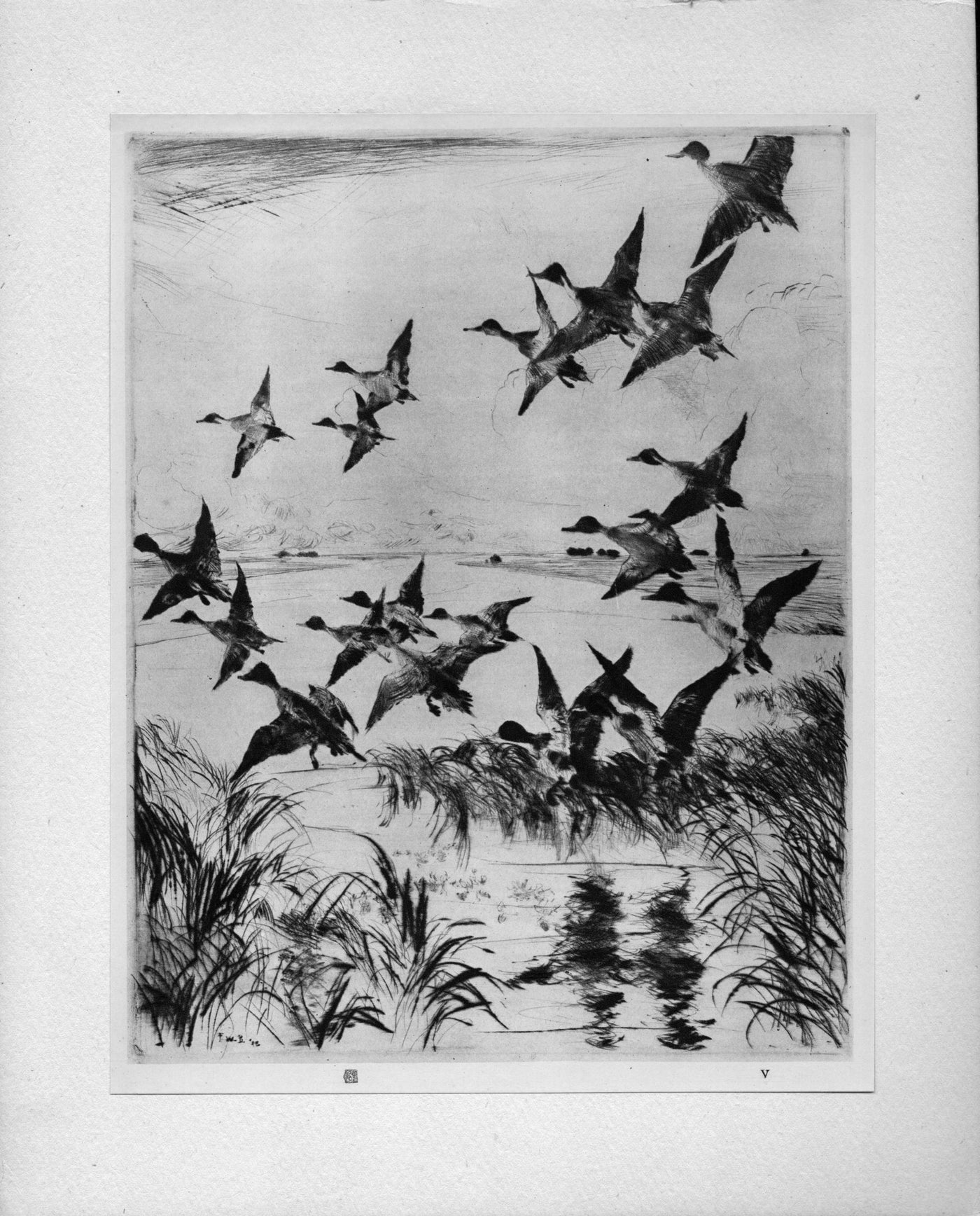Frank W. Benson 'Pintails' from The Studio "...Masters of Etching" antique print 1925