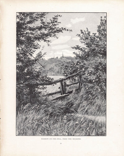Harrow on the Hill from the meadows antique print 1893