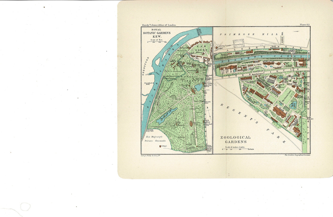 Kew Gardens and Zoological Gardens Regent's Park antique map 1907 ...