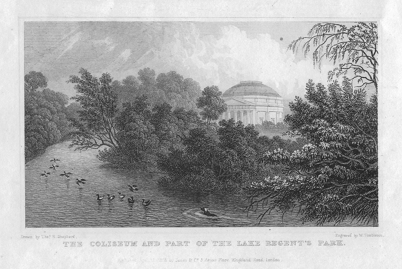 Regent's Park Lake London antique print 1830
