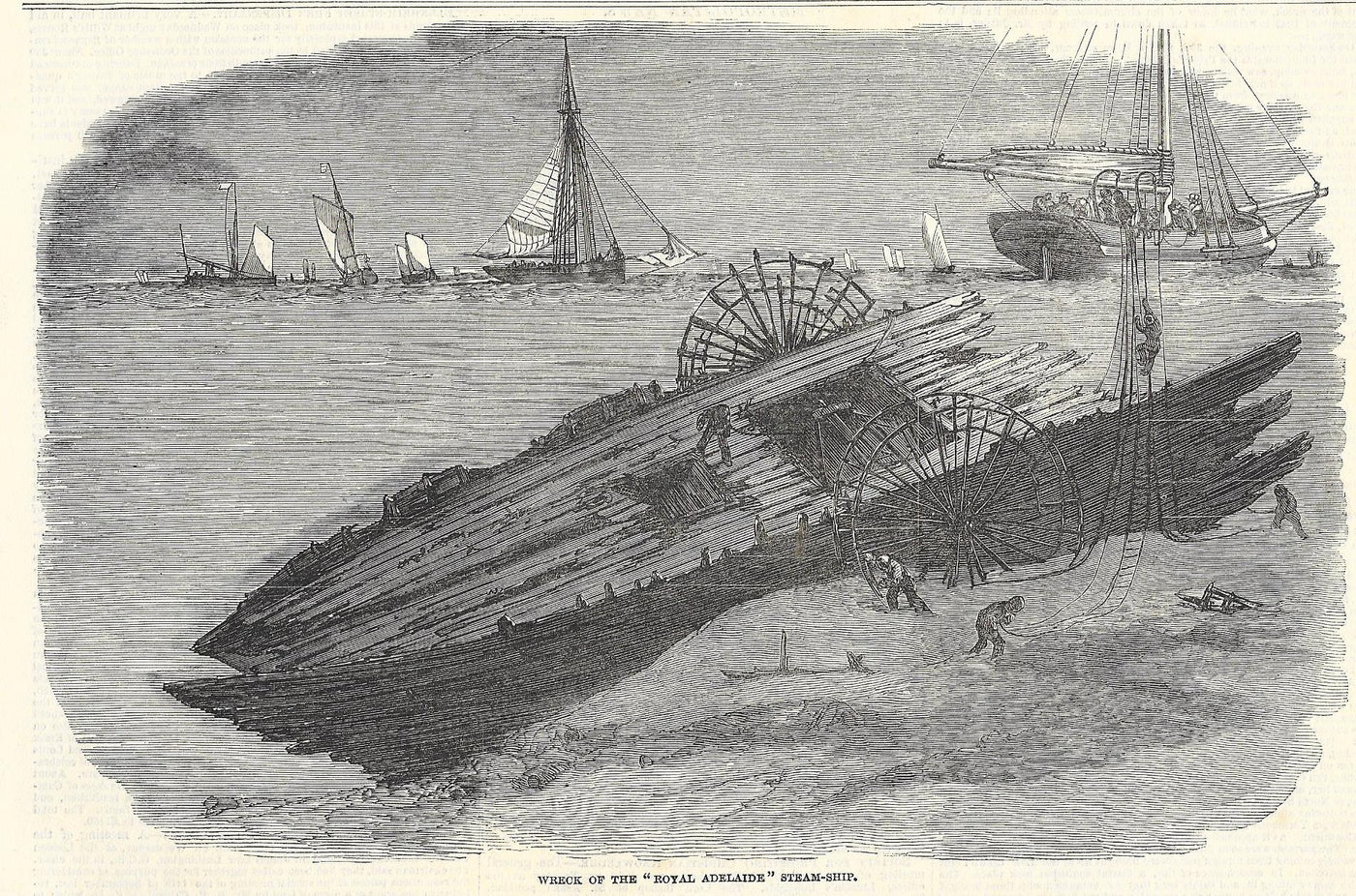 Divers salvaging the wreck of the Royal Adelaide steamship 1850