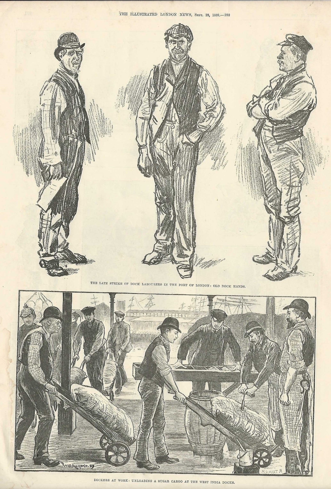 West India Docks unloading sugar antique print 1889
