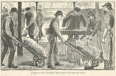 West India Docks unloading sugar antique print 1889