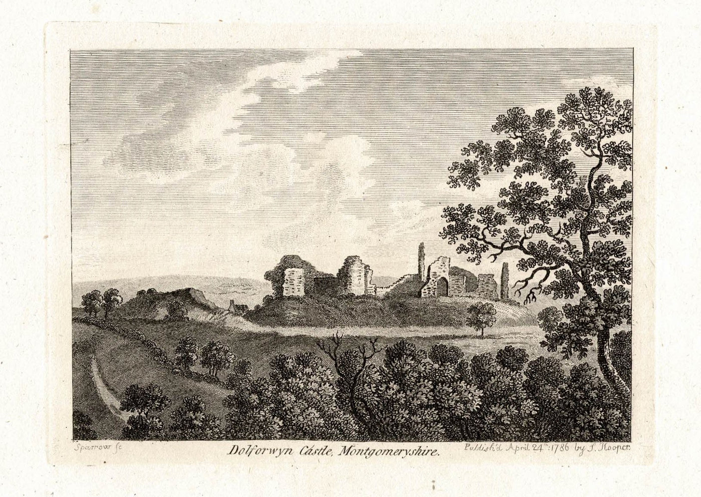 Dolforwyn Castle Montgomeryshire Wales antique print 1786