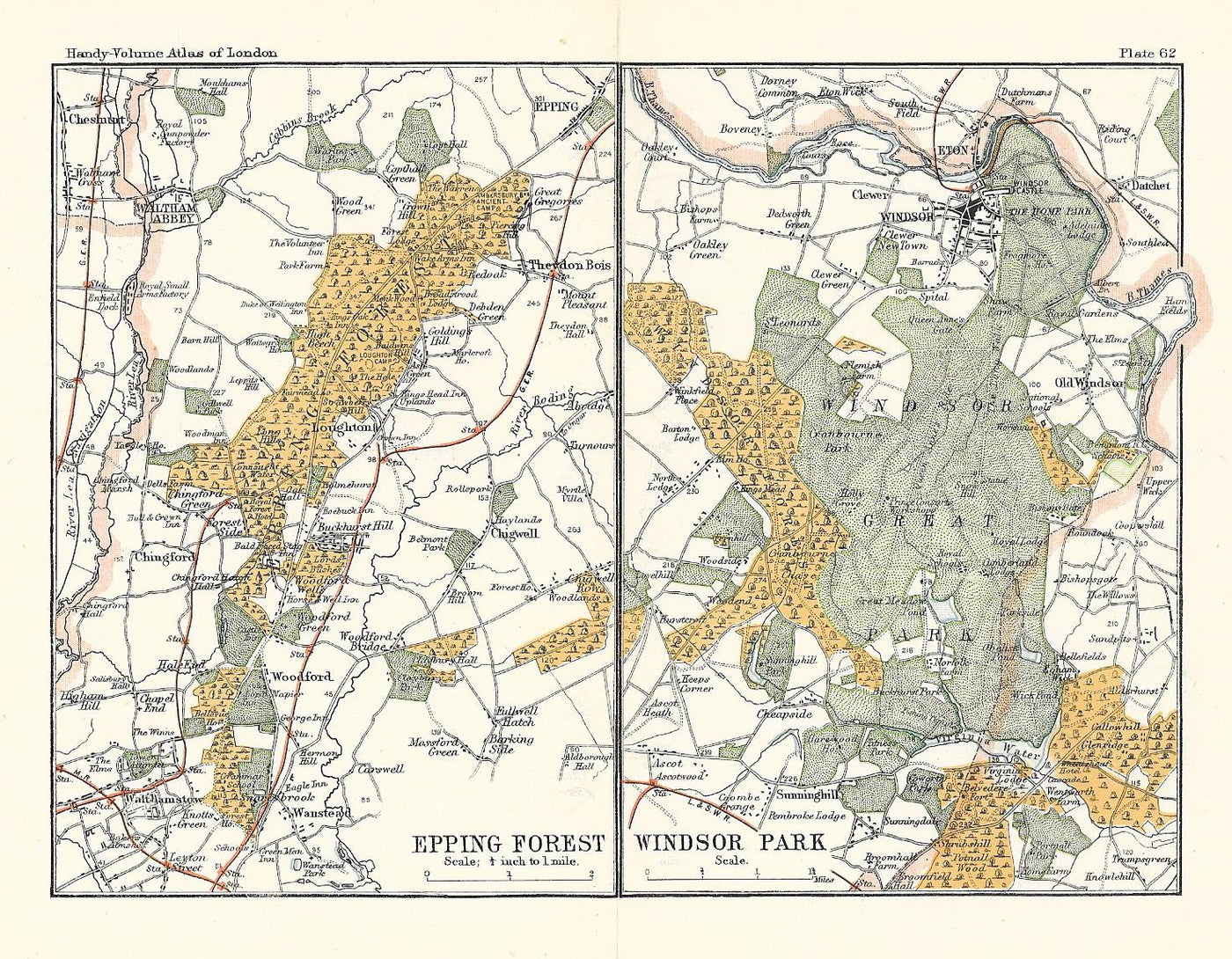 Epping Forest and Windsor Park antique map 1902