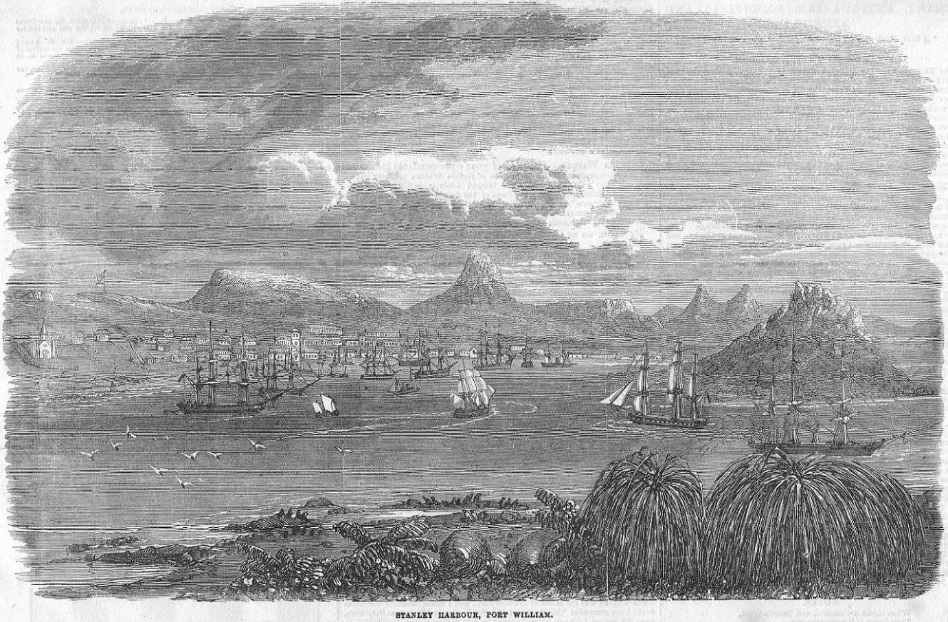 Falkland Islands Port Stanley antique print 1856