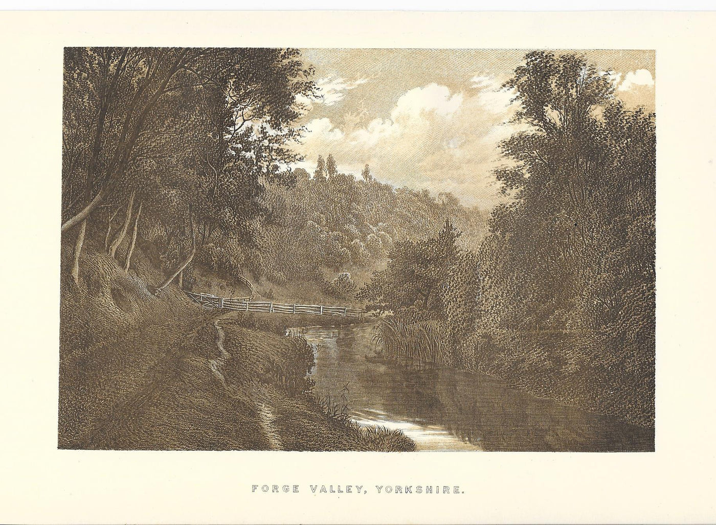 Forge Valley Yorkshire antique print 1895