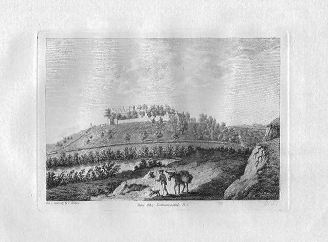 Hulne Abbey Northumberland antique print