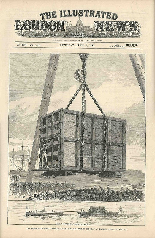 Jumbo the elephant at Millwall Docks antique print 1882