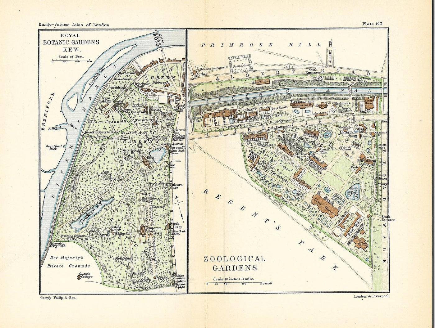 London Zoo antique map 1891