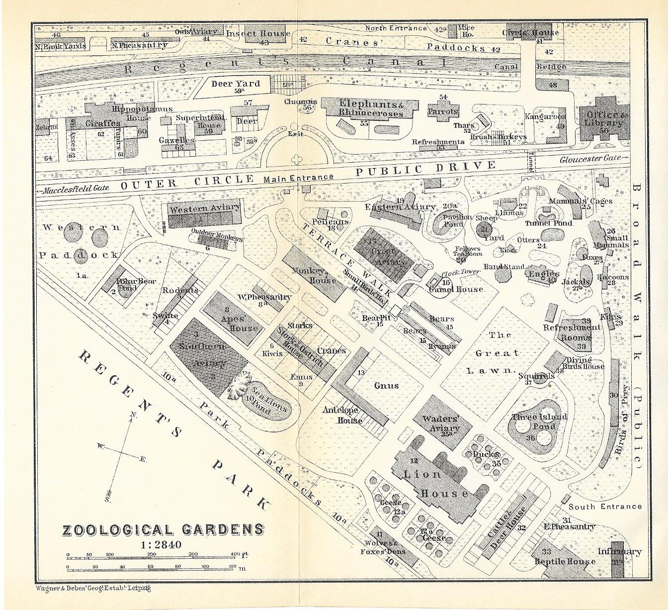 London Zoo antique map 1913