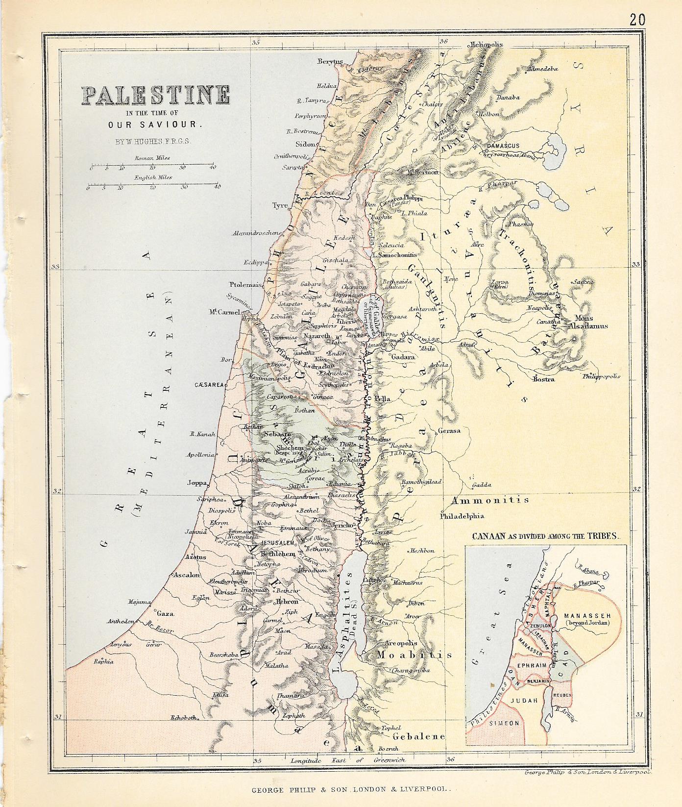 Palestine antique map