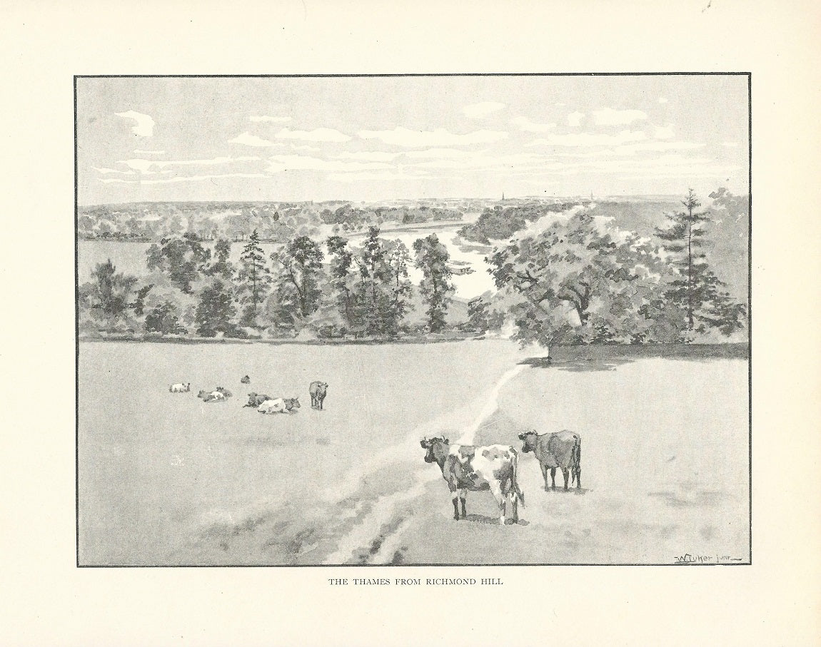 Richmond Hill view of the River Thames antique print 1893