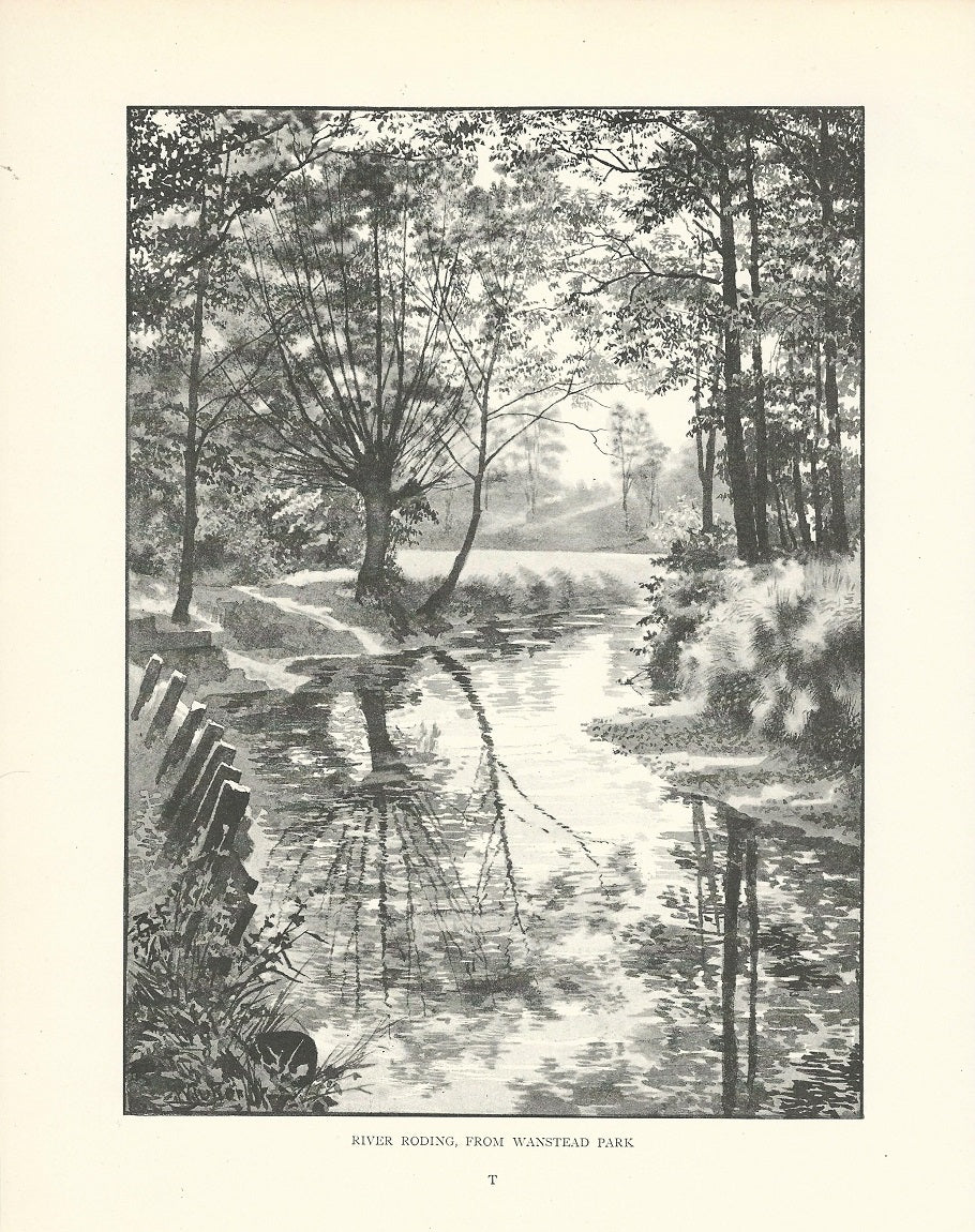 River Roding from Wanstead Park antique print 1893