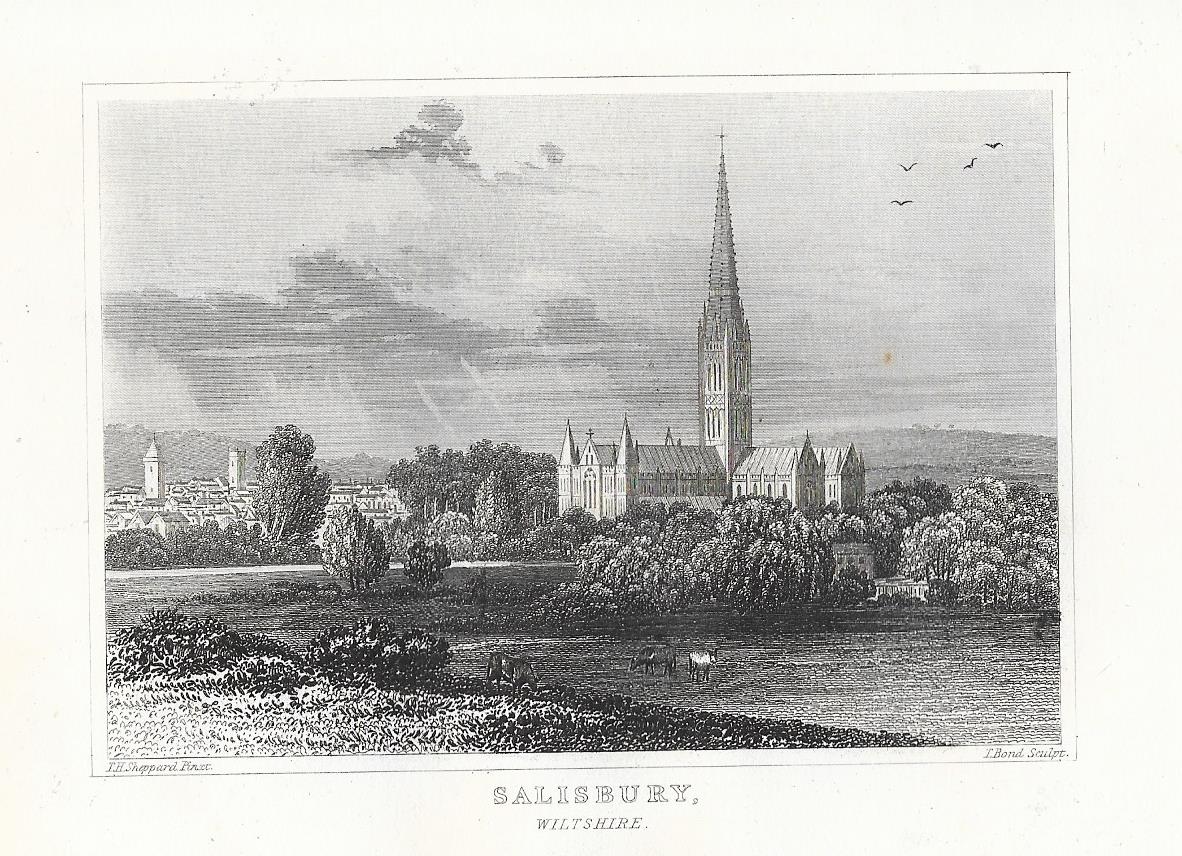 Salisbury Cathedral Wiltshire antique print 1845