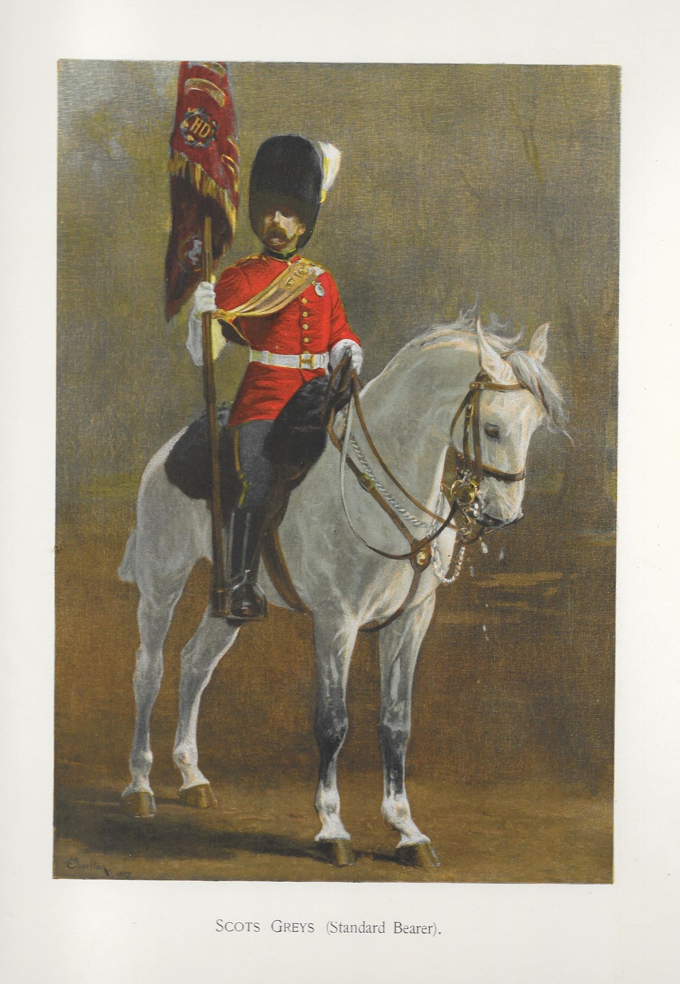 Scots Greys Standard Bearer antique print 1900