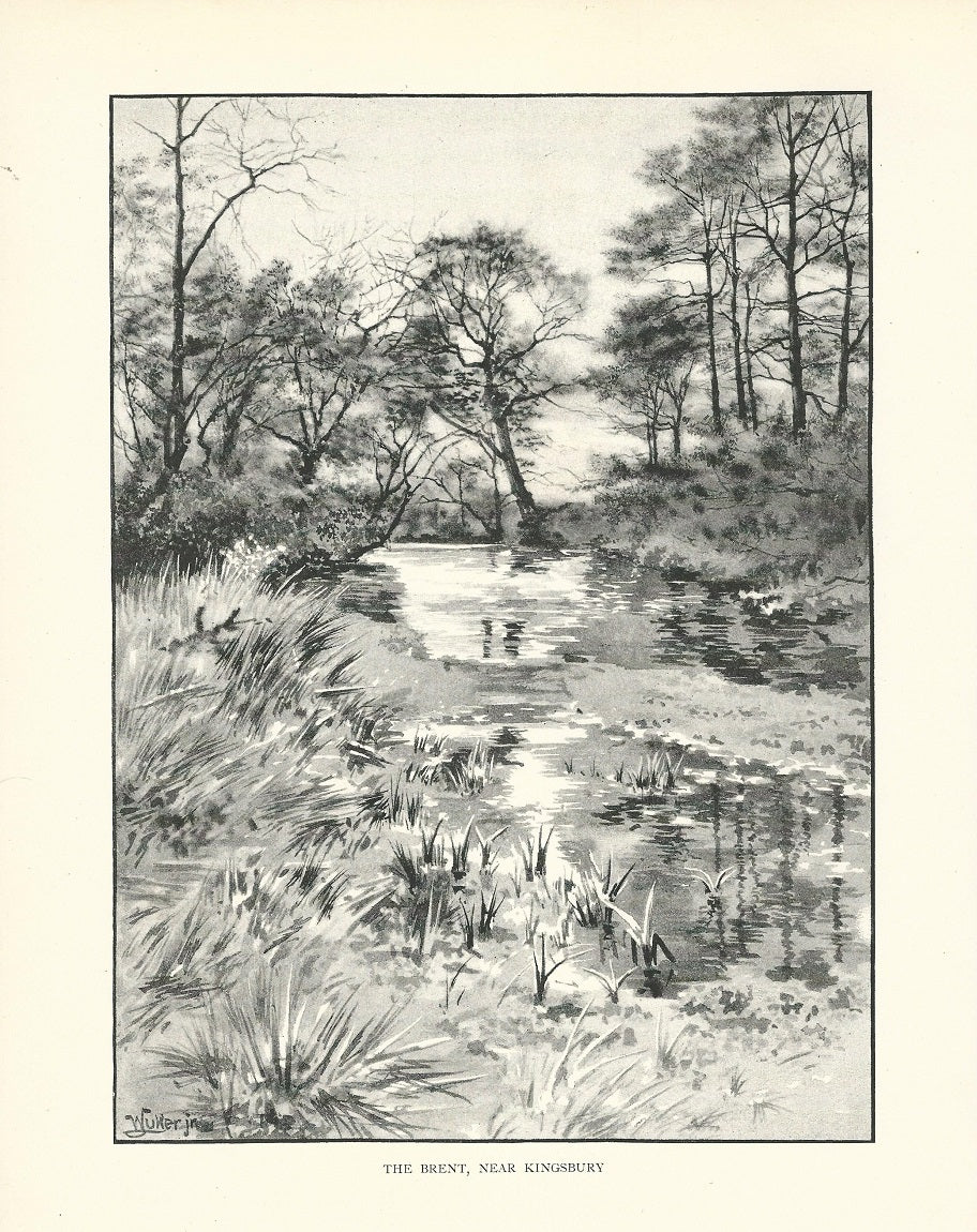 Kingsbury and the River Brent antique print 1893
