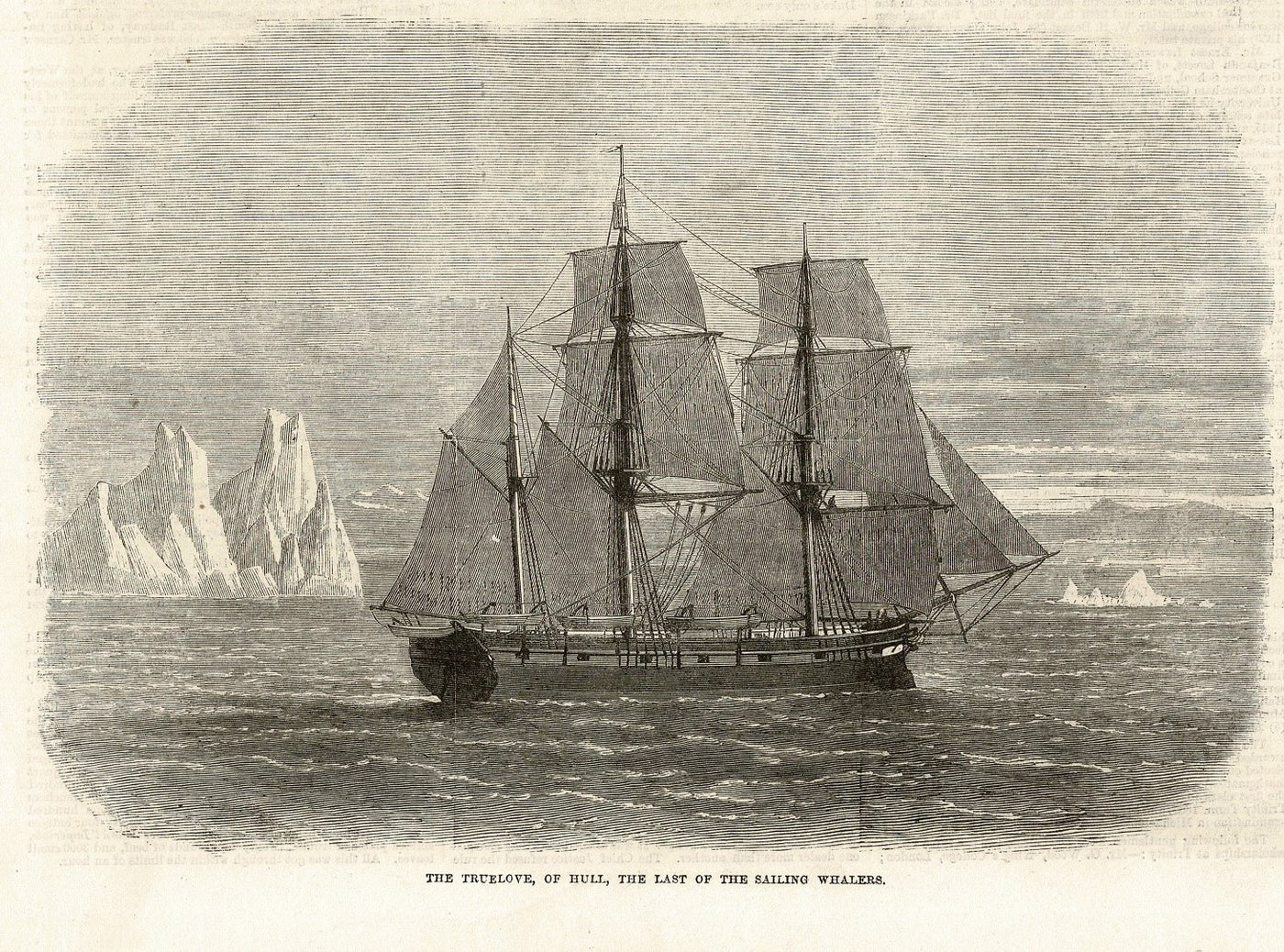 Hull Whaling Ship Truelove the last Sailing Whaler antique print 1870
