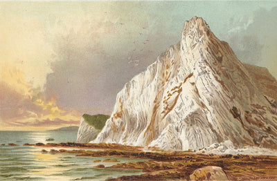 Culver Cliff Isle of Wight antique print