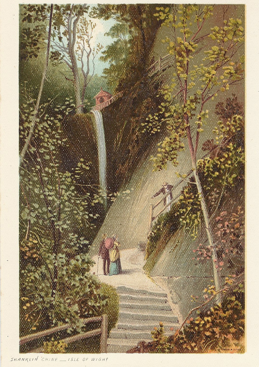 Shanklin Chine Isle of Wight antique print 1889