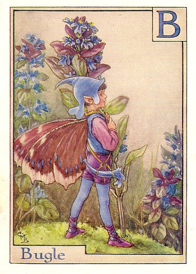 Bugle Flower Fairy guaranteed original old print