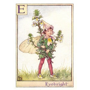 Eyebright original vintage Flower Fairy print