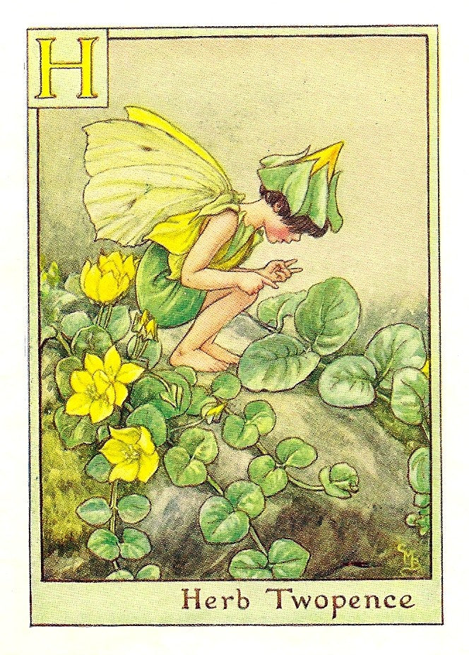 Herb Twopence vintage Flower Fairy for sale