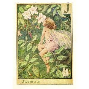 Jasmine Alphabet Flower Fairy. A guaranteed original vintage print