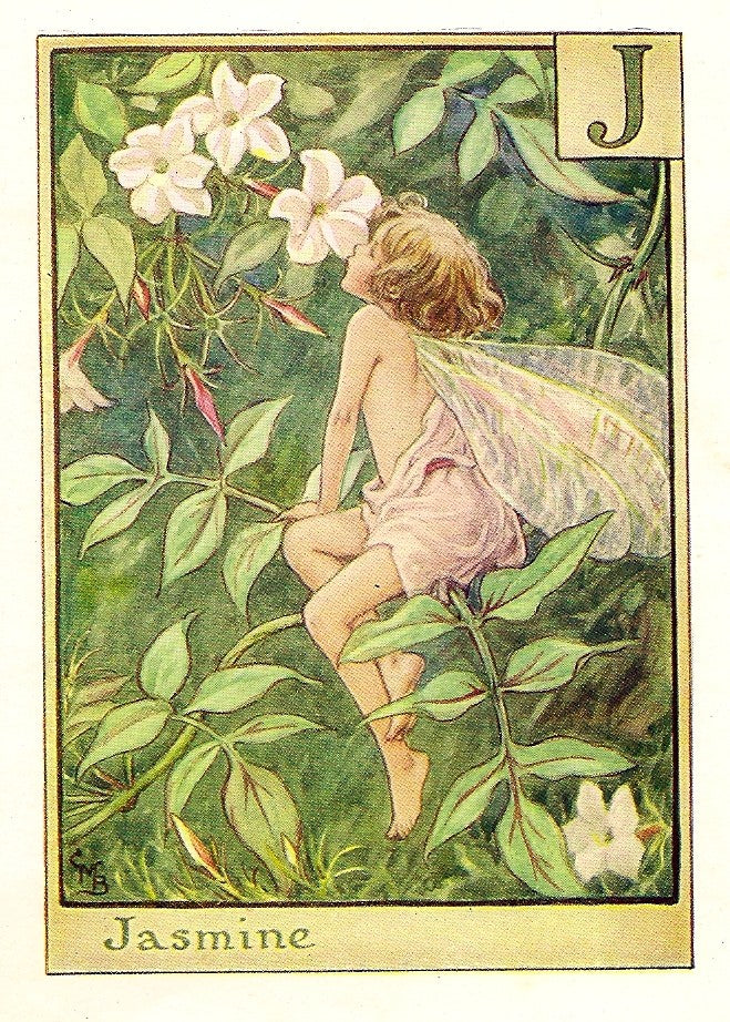 Jasmine Alphabet Flower Fairy. A guaranteed original vintage print