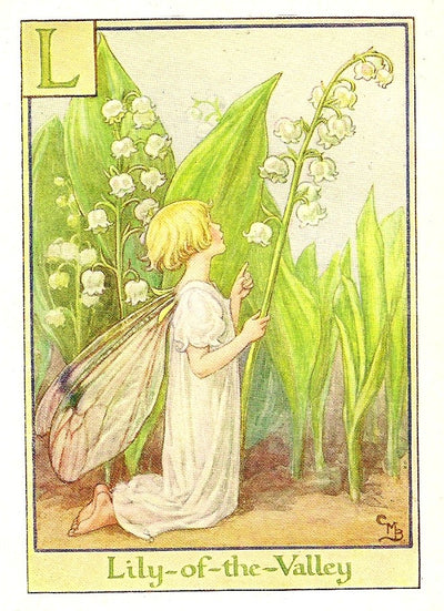 Lily-of-the-Valley Flower Fairy vintage print
