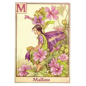 Mallow Flower Fairy guaranteed vintage print