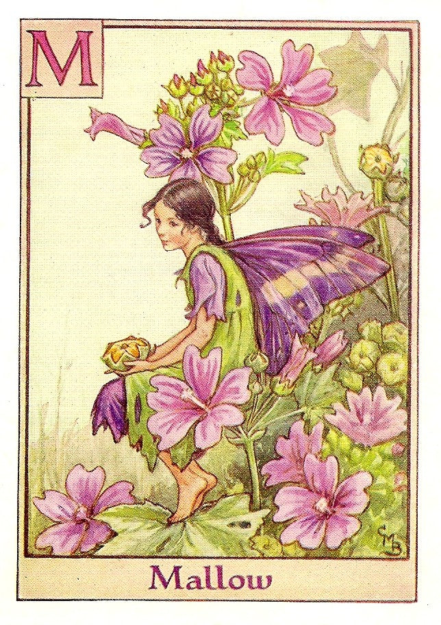 Mallow Flower Fairy guaranteed vintage print
