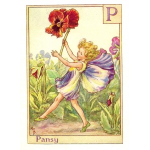 Pansy Flower Fairy vintage print for sale