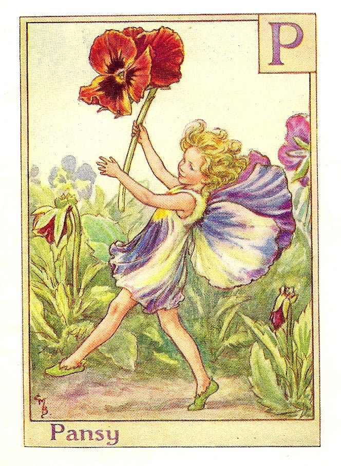 Pansy Flower Fairy vintage print for sale